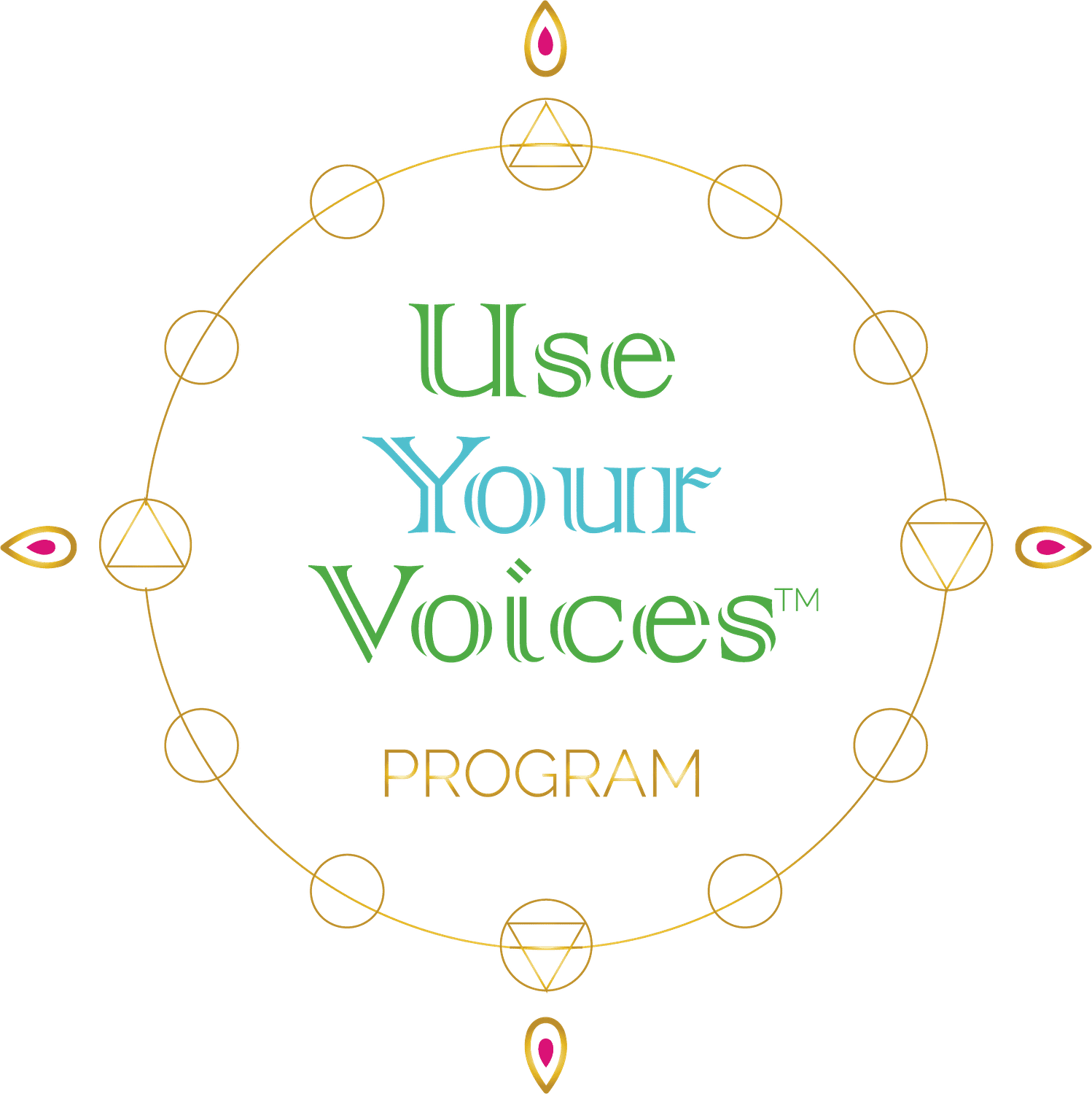Use Your Voices Program