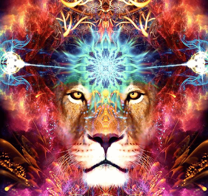 Guided Meditation To Go To The Next Level With Lion Gate Portal